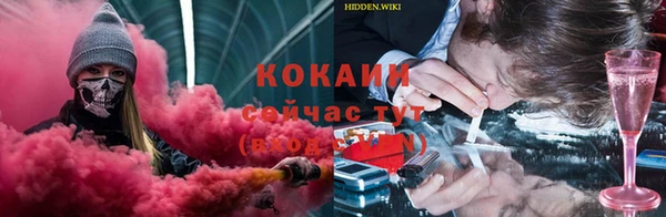 apvp Алексин