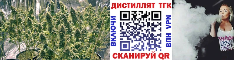ТГК концентрат  купить наркоту  Тайшет 