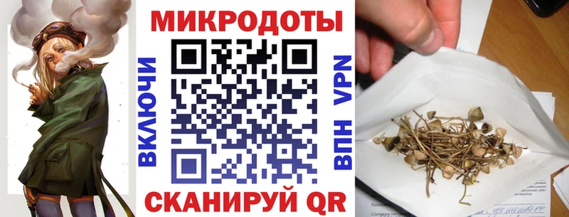 как найти наркотики  Тайшет  MEGA ONION  Галлюциногенные грибы GOLDEN TEACHER 