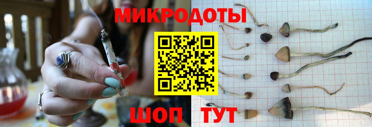 Тайшет  сколько стоит  Вход с VPN  Галлюциногенные грибы мицелий 