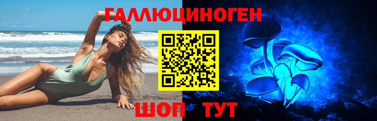 Галлюциногенные грибы GOLDEN TEACHER Тайшет